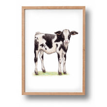 Load image into Gallery viewer, Poster baby calf
