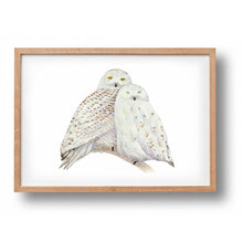 Load image into Gallery viewer, Poster snowy owls 
