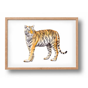 Poster tiger