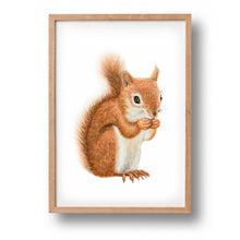 Afbeelding in Gallery-weergave laden, Poster eekhoorntje - Art print
