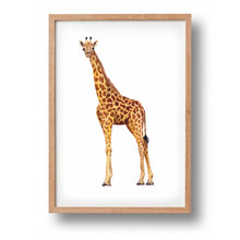 Afbeelding in Gallery-weergave laden, Poster giraffe - Art print
