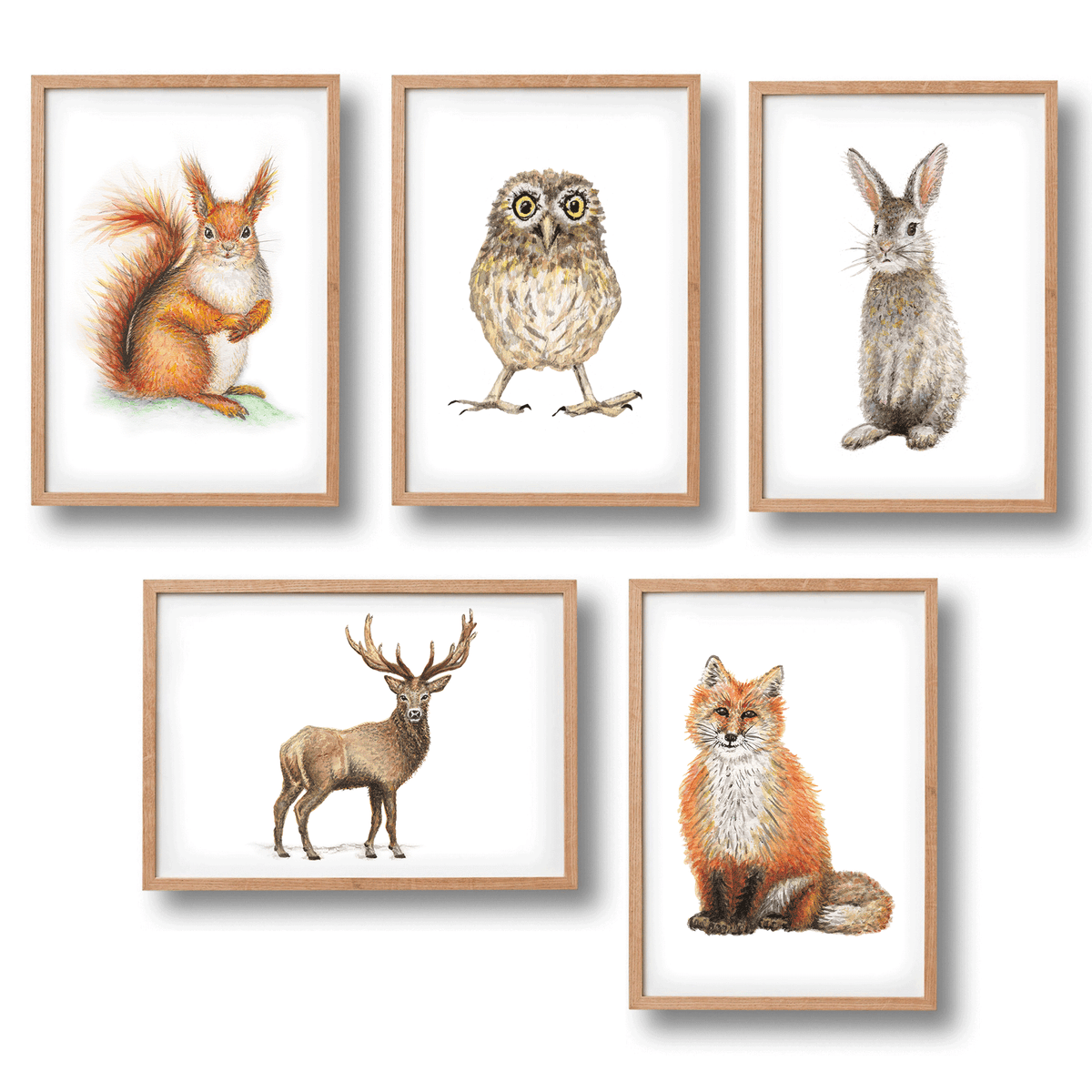5 Poster Waldtiere