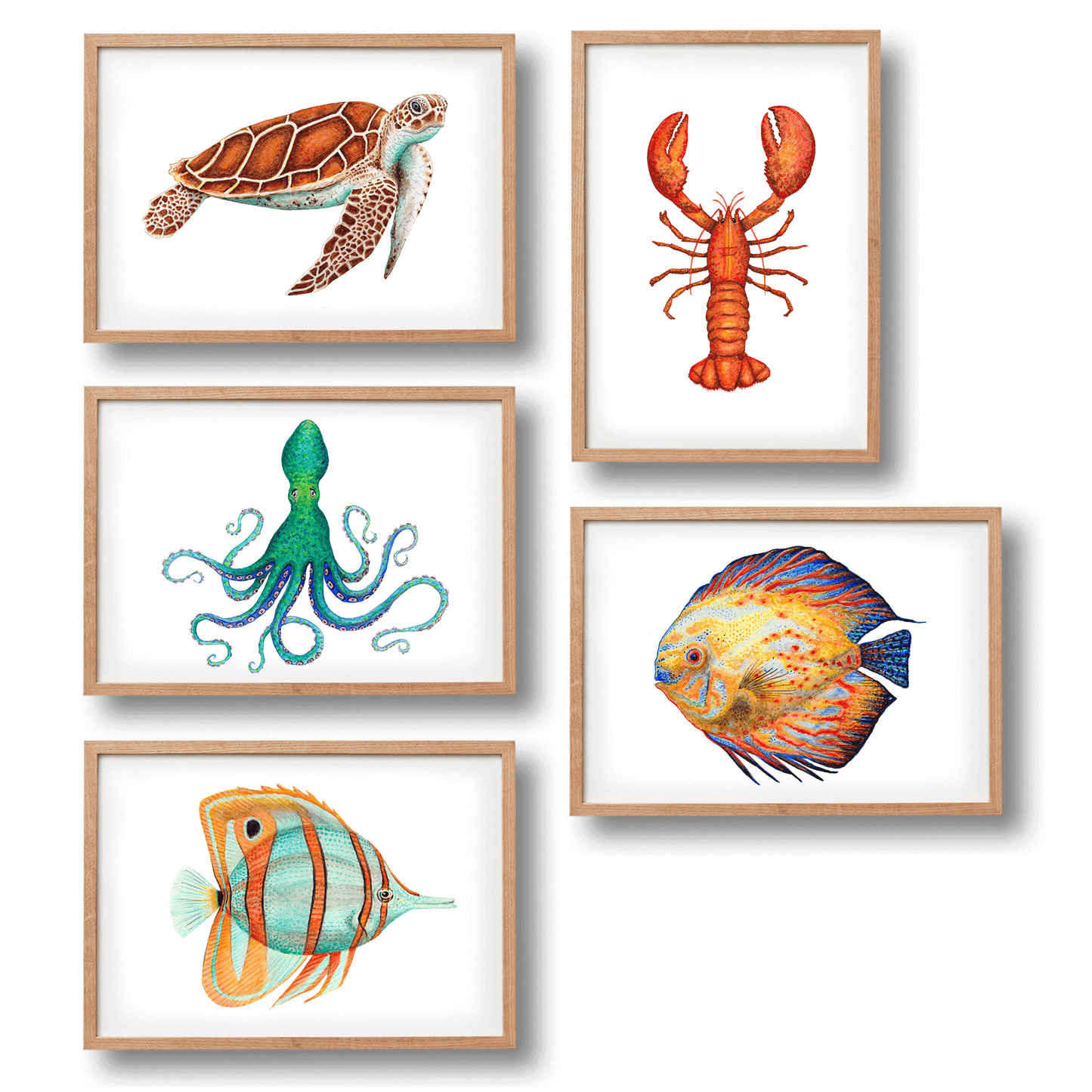 5 posters zeedieren