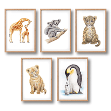 Load image into Gallery viewer, 5 posters baby animals
