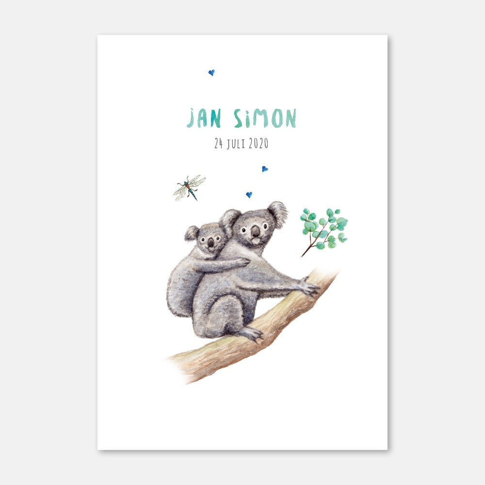 Birth announcement koala boy - sample