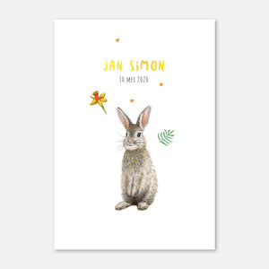 Birth announcement rabbit - sample