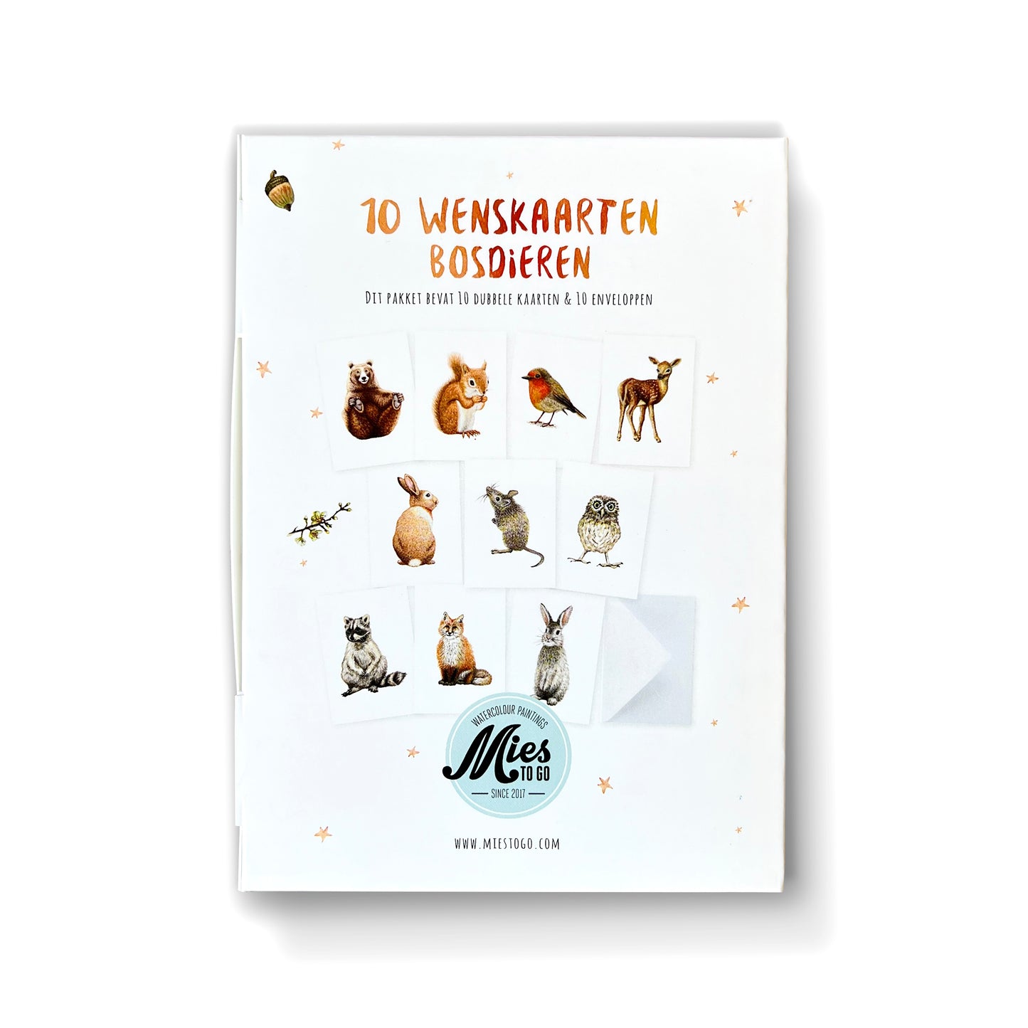 10 greeting cards tropical animals with envelope