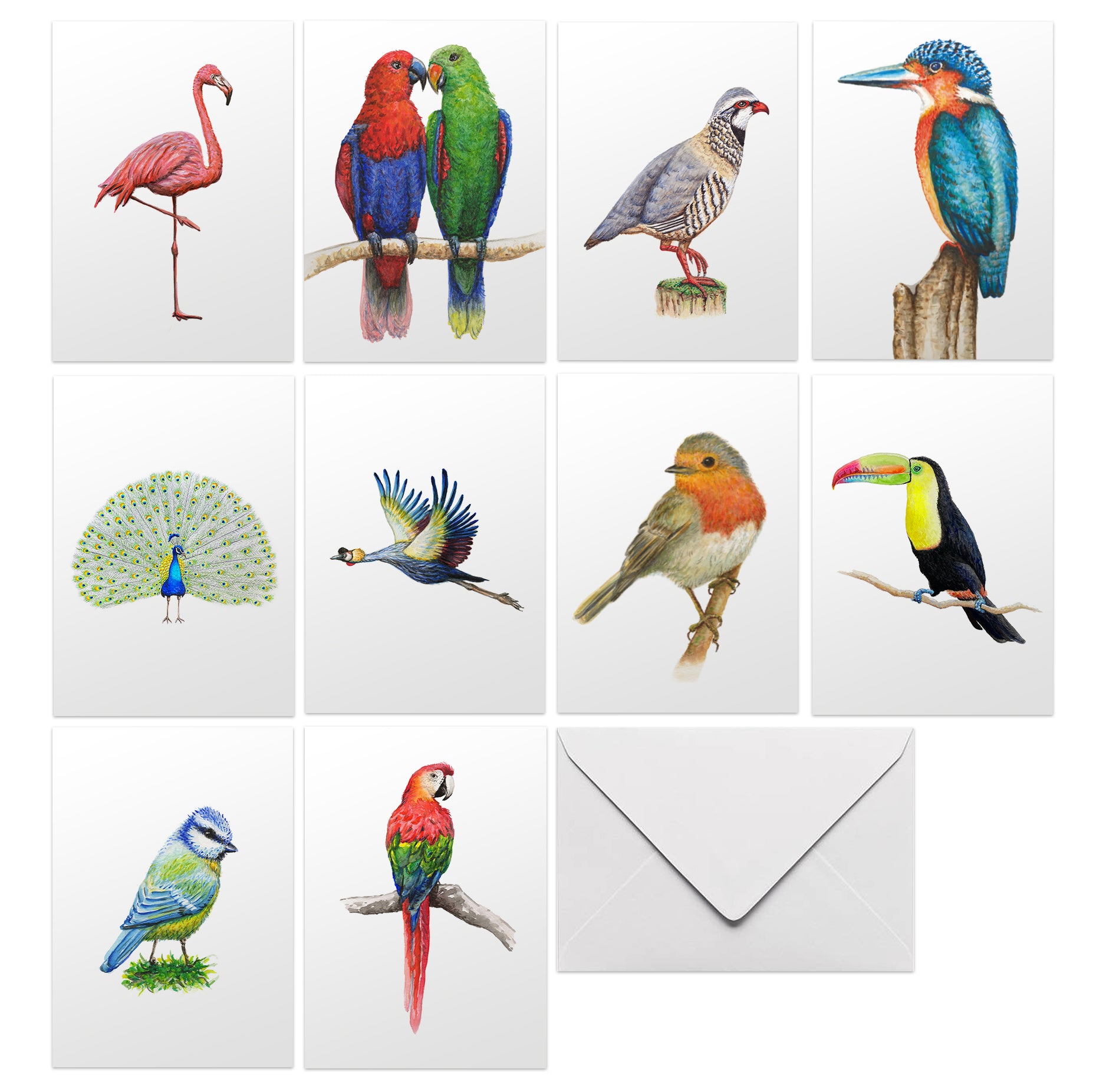 wenskaarten vogels zonder tekst