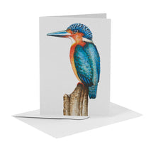 Lade das Bild in den Galerie-Viewer, 10 Grußkarten Vögel mit Umschlag
