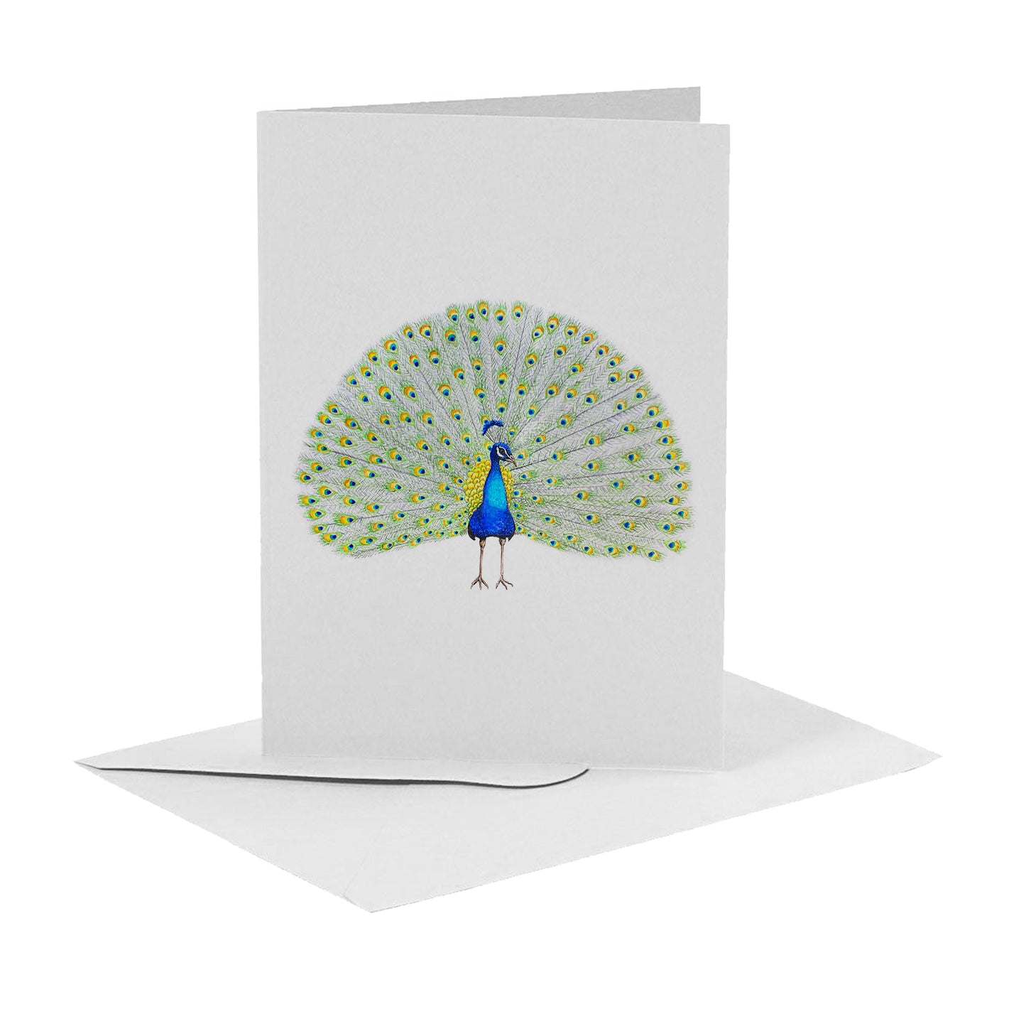10 greeting cards birds with envelope