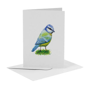 10 greeting cards birds with envelope