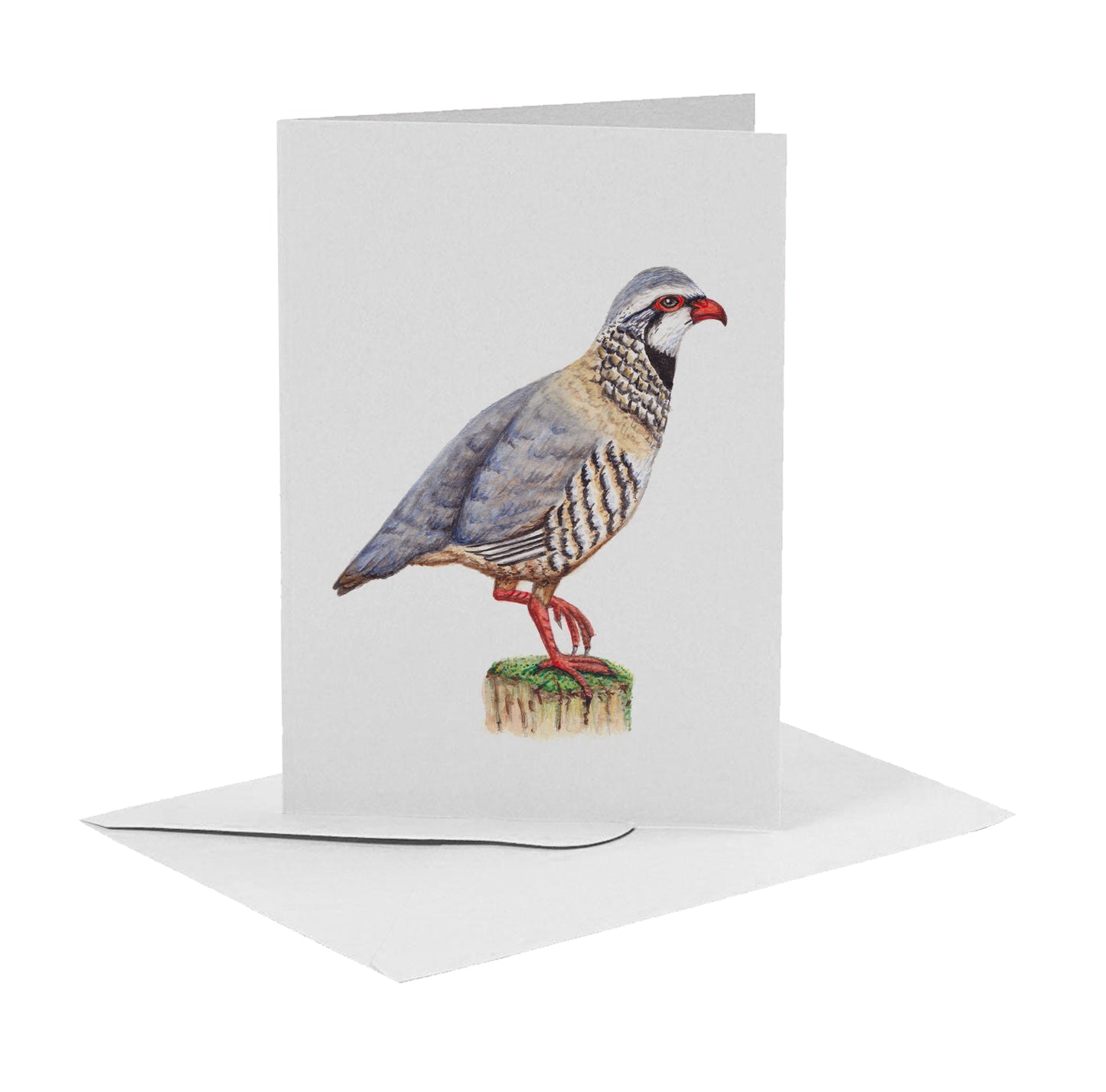 10 greeting cards birds with envelope