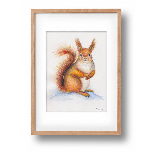 Origineel aquarel schilderij eekhoorn