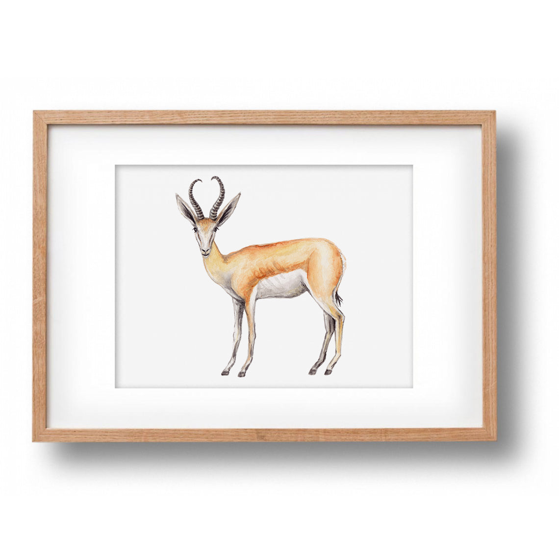 Origineel aquarel schilderij springbok