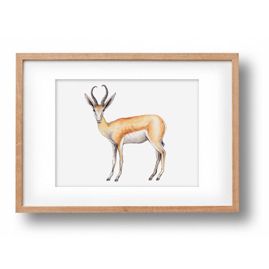 Origineel aquarel schilderij springbok