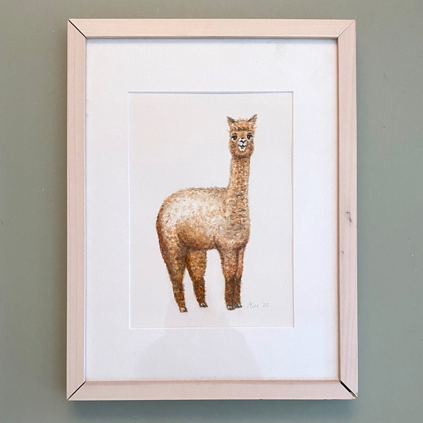Original watercolour alpaca