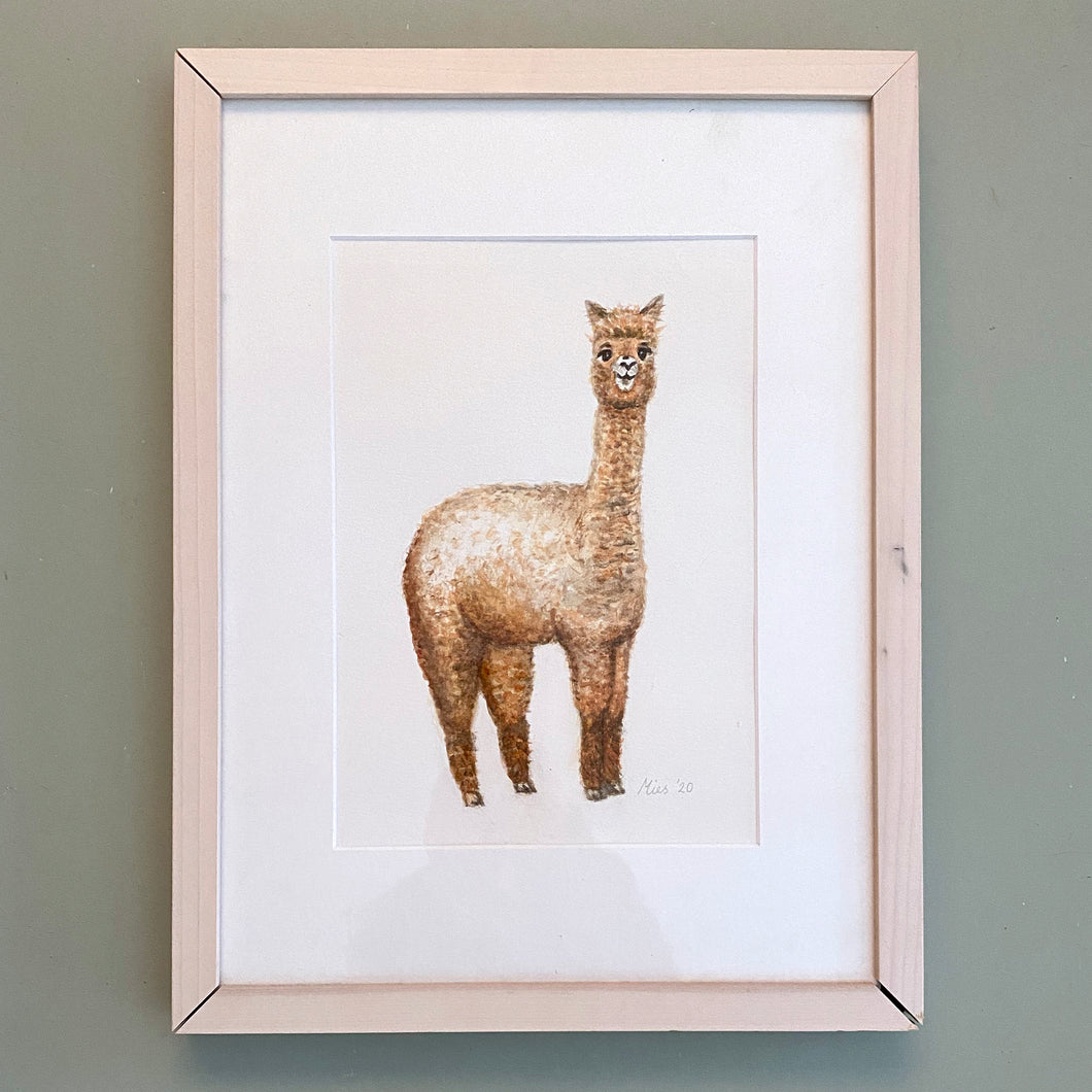 Originele  aquarel schilderij alpaca