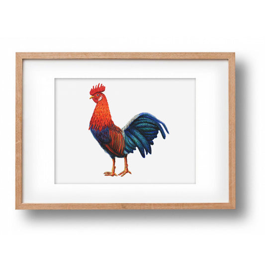 Original watercolor painting rooster