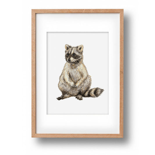 Origineel aquarel schilderij wasbeer