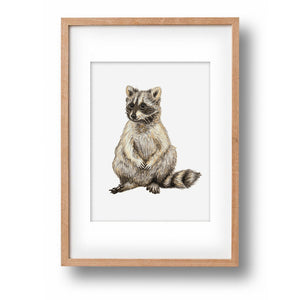 Original-Aquarell Waschbär