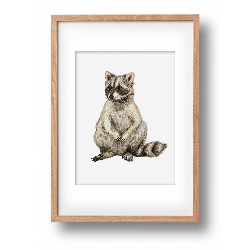 Original-Aquarell Waschbär