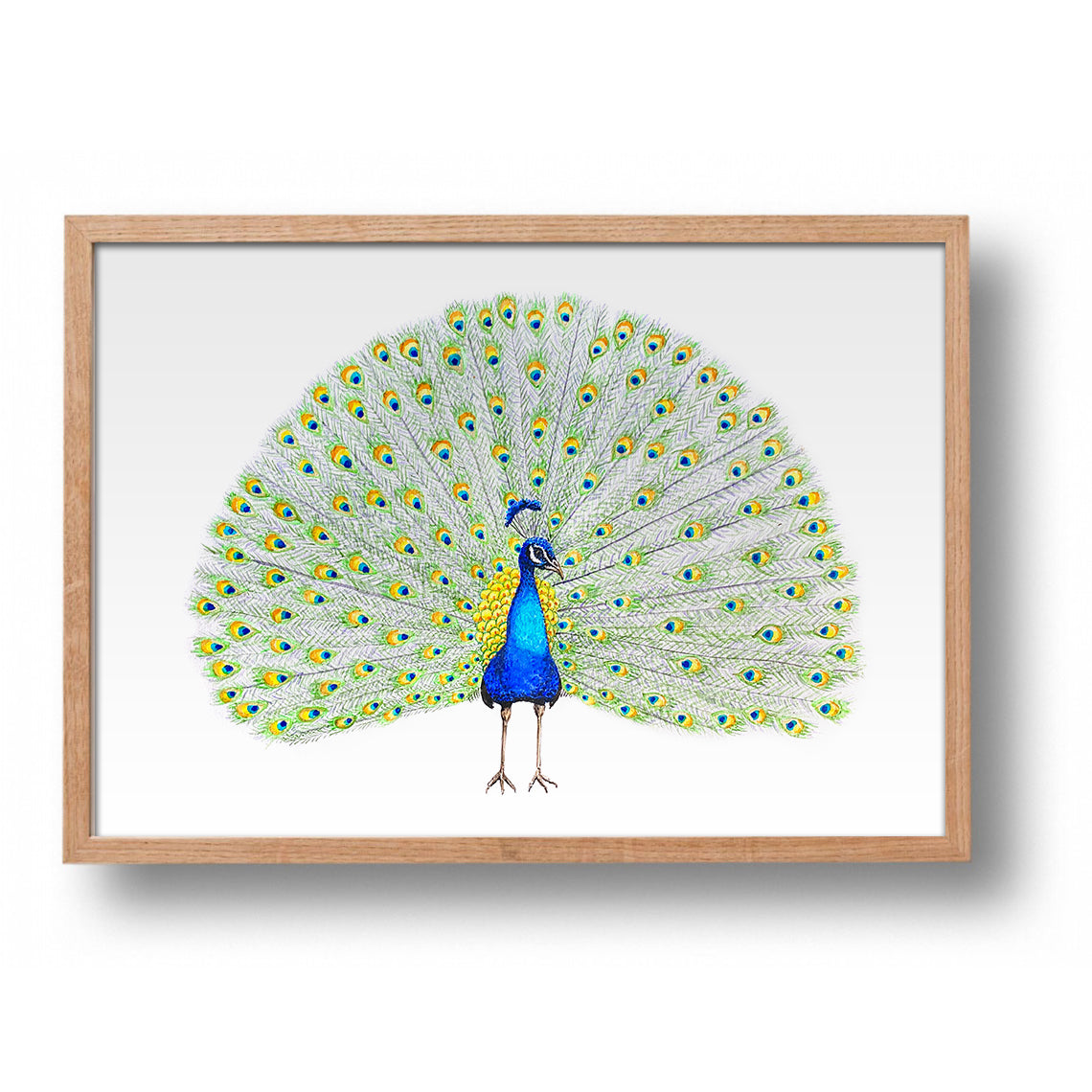 Original watercolor painting peacock
