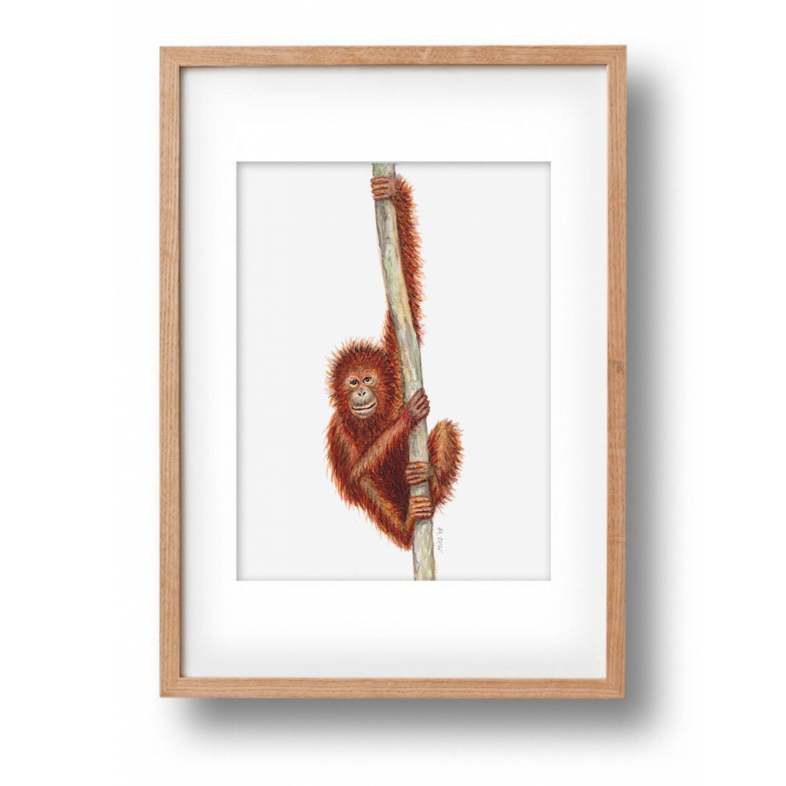 Origineel aquarel schilderij aap