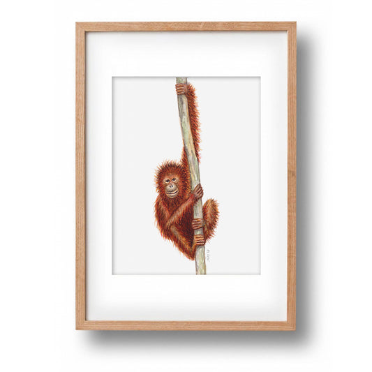 Origineel aquarel schilderij aap