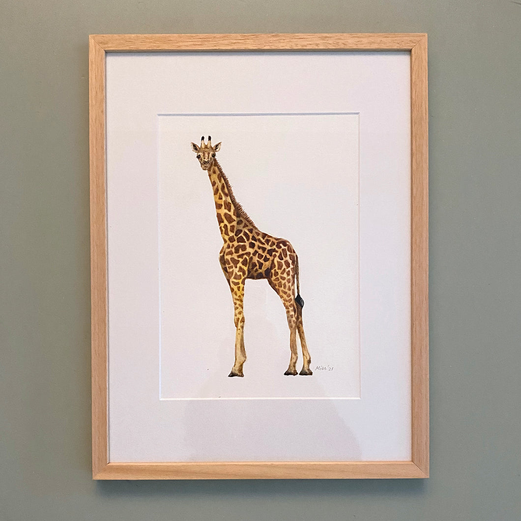 Originele aquarel schilderij giraf
