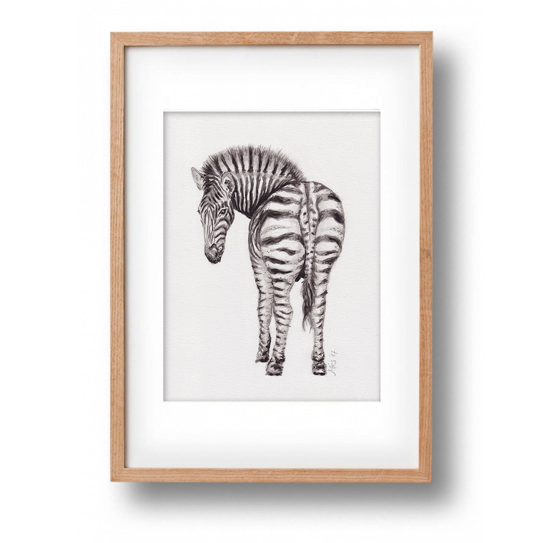 Original watercolour zebra