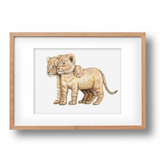 Original watercolour lions