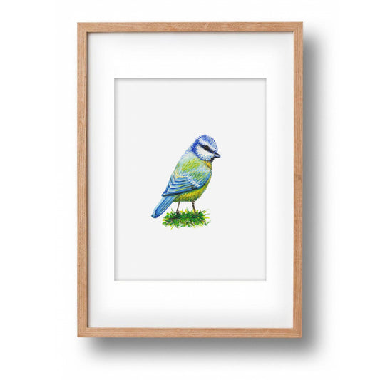 Origineel aquarel schilderij pimpelmees