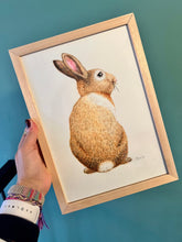 Load image into Gallery viewer, Original watercolour rabbit
