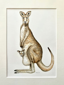 Originele aquarel schilderij kangoeroe mama