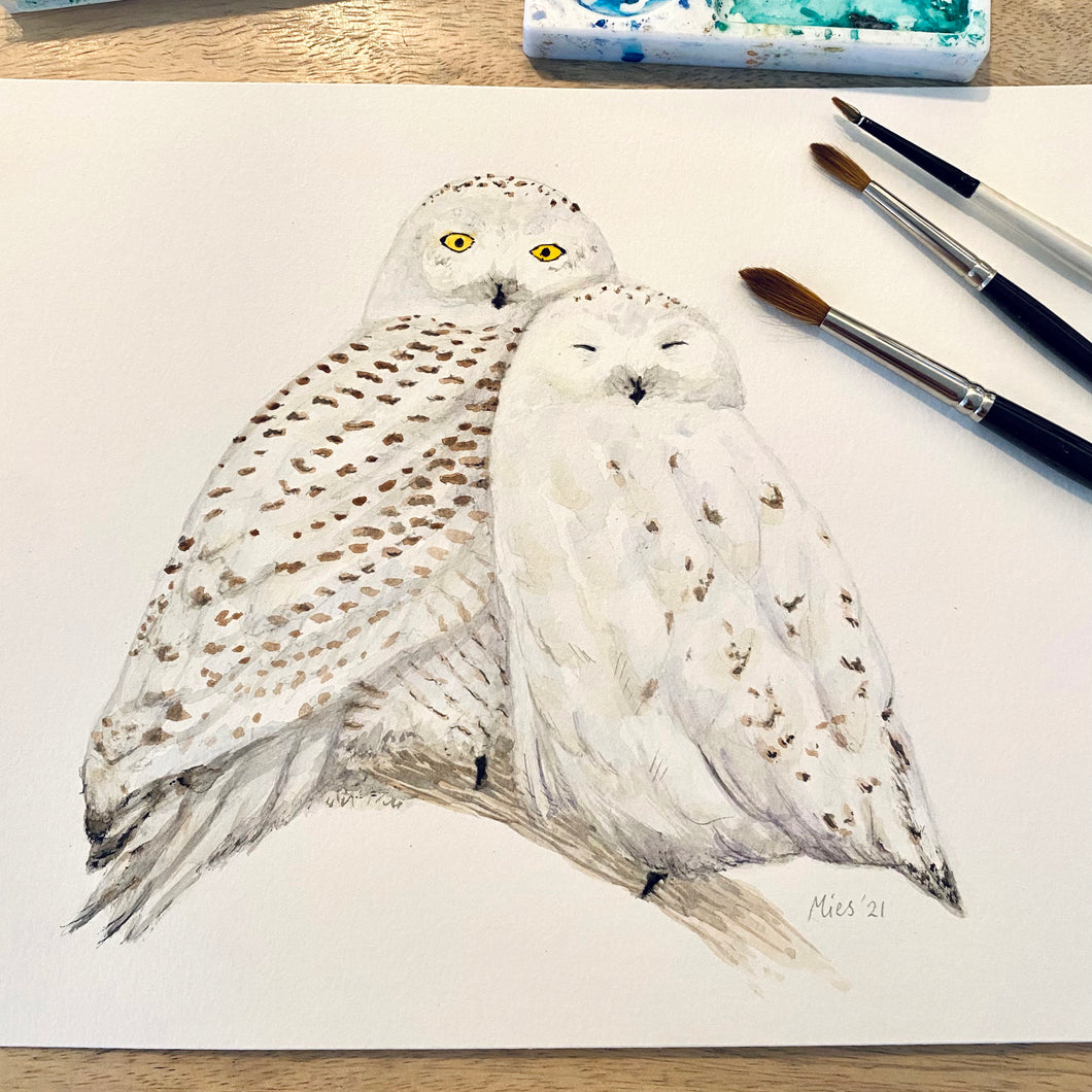 Original watercolour snowy owls