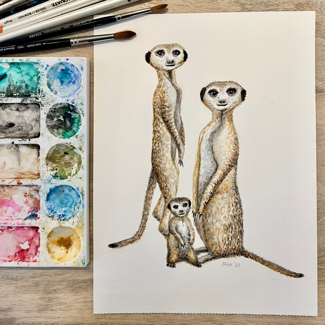 Origineel aquarel schilderij stokstaartjes