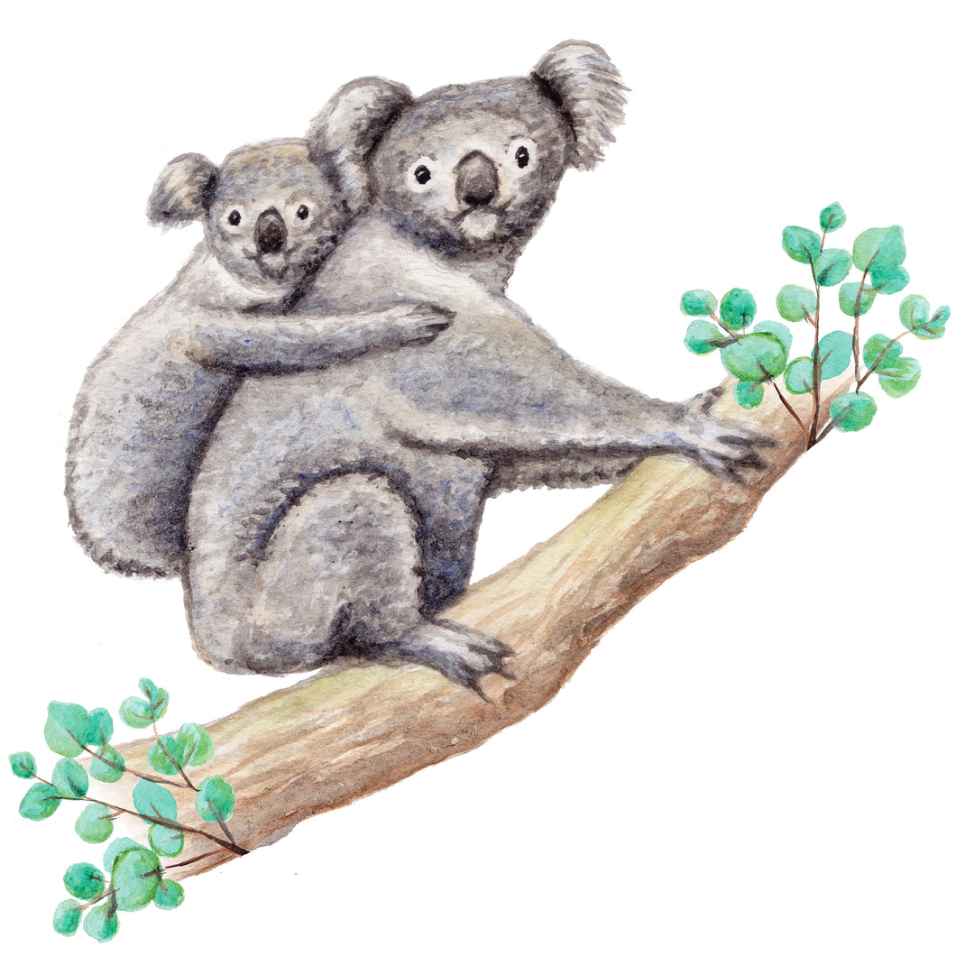 Muursticker koala 60x60 cm