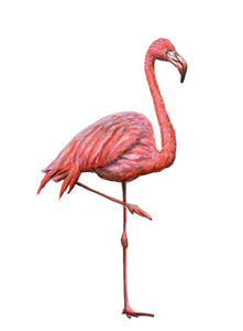 Wallsticker flamingo