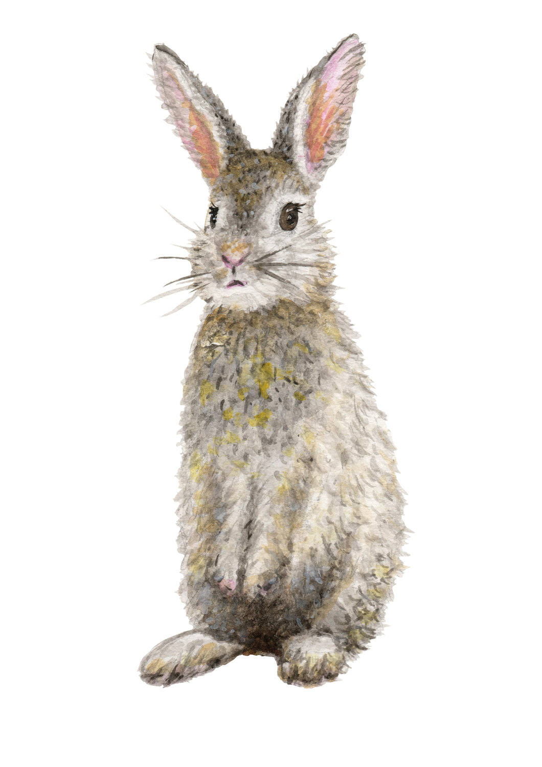 Muursticker konijn 30x70 cm