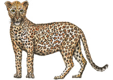 Afbeelding in Gallery-weergave laden, Muursticker luipaard 70x50 cm
