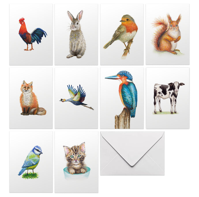 wenskaarten met envelop blanco Hollandse dieren kaart ansichtkaart greeting card postcard watercolor animals dieren aquarel haan kraanvogel ijsvogel koe kalfje pimpelmees poes kat konijn eekhoorn vos konijntje roodborstje