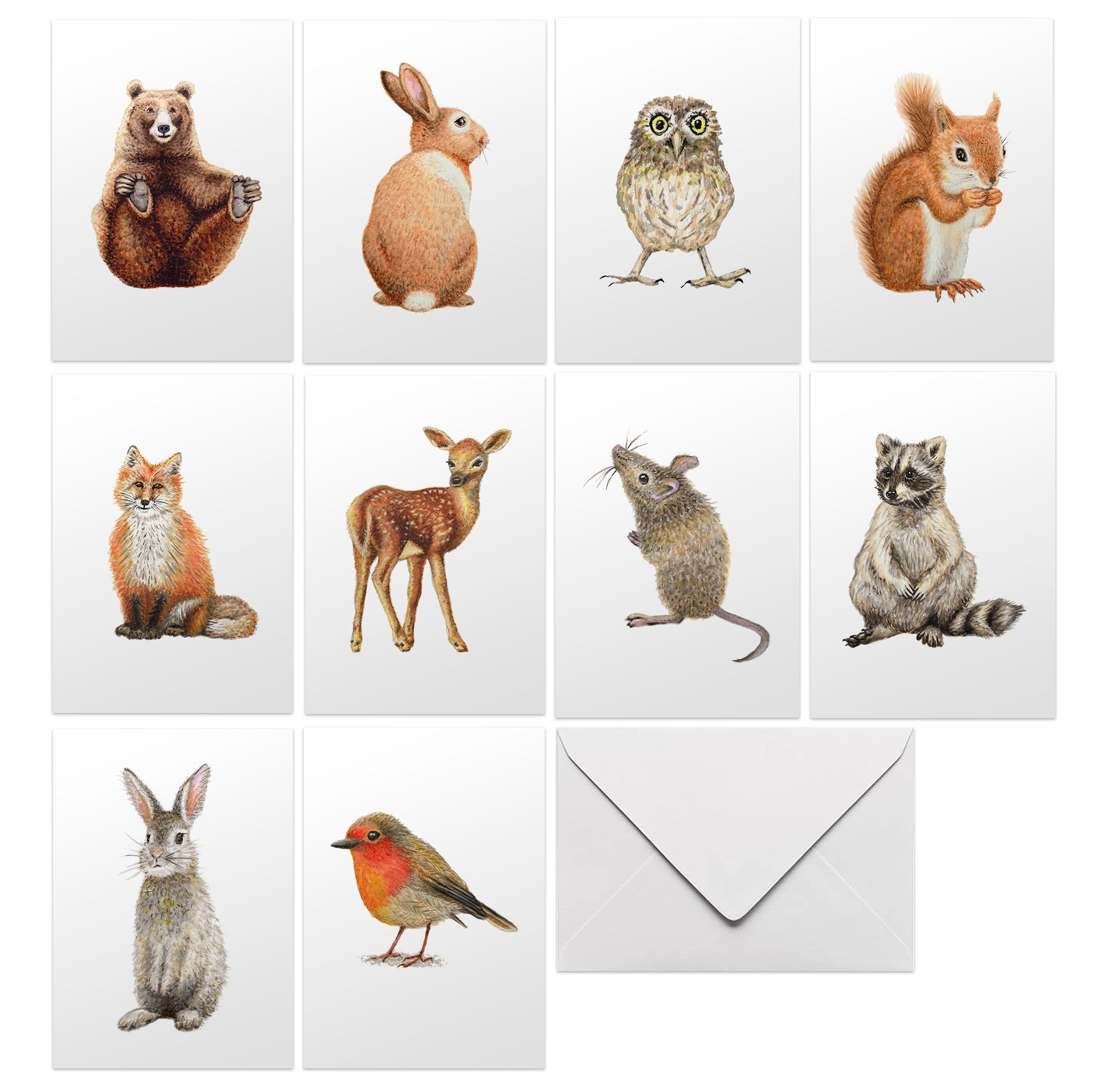 wenskaarten met envelop blanco bosdieren kaart ansichtkaart greeting card postcard watercolor animals dieren aquarel beer konijn uil eekhoorn vos hert muisje wasbeer konijntje roodborstje