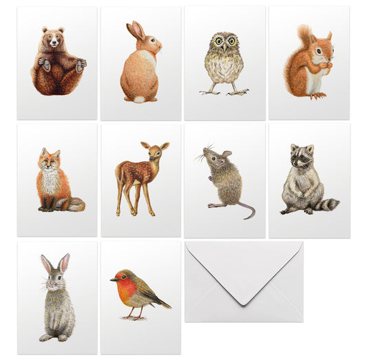 wenskaarten met envelop blanco bosdieren kaart ansichtkaart greeting card postcard watercolor animals dieren aquarel beer konijn uil eekhoorn vos hert muisje wasbeer konijntje roodborstje